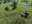 IMG_2487_2023-09-25.jpeg